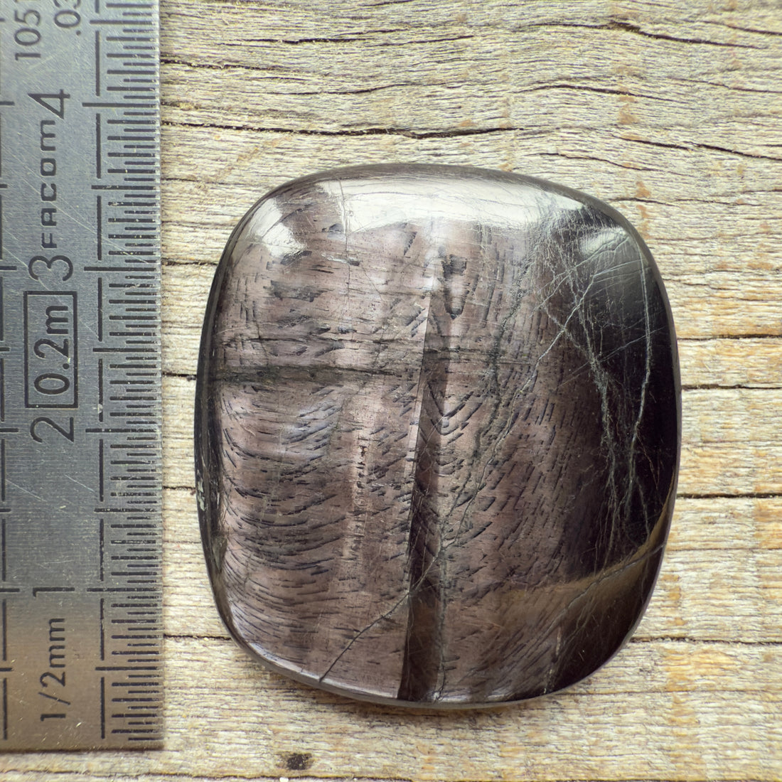 Cabochon Hypersthène