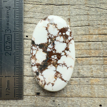 Cabochon Magnésite Wild Horse