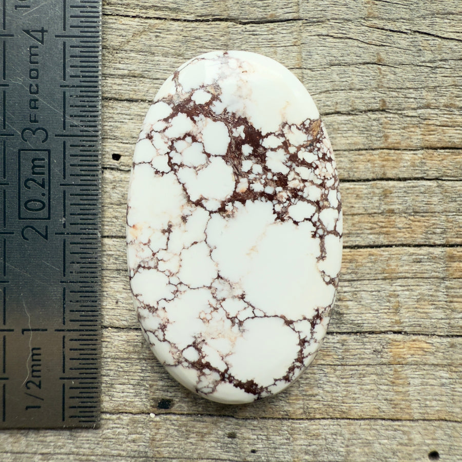 Cabochon Magnésite Wild Horse