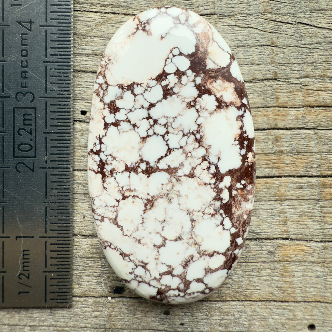 Cabochon Magnésite Wild Horse