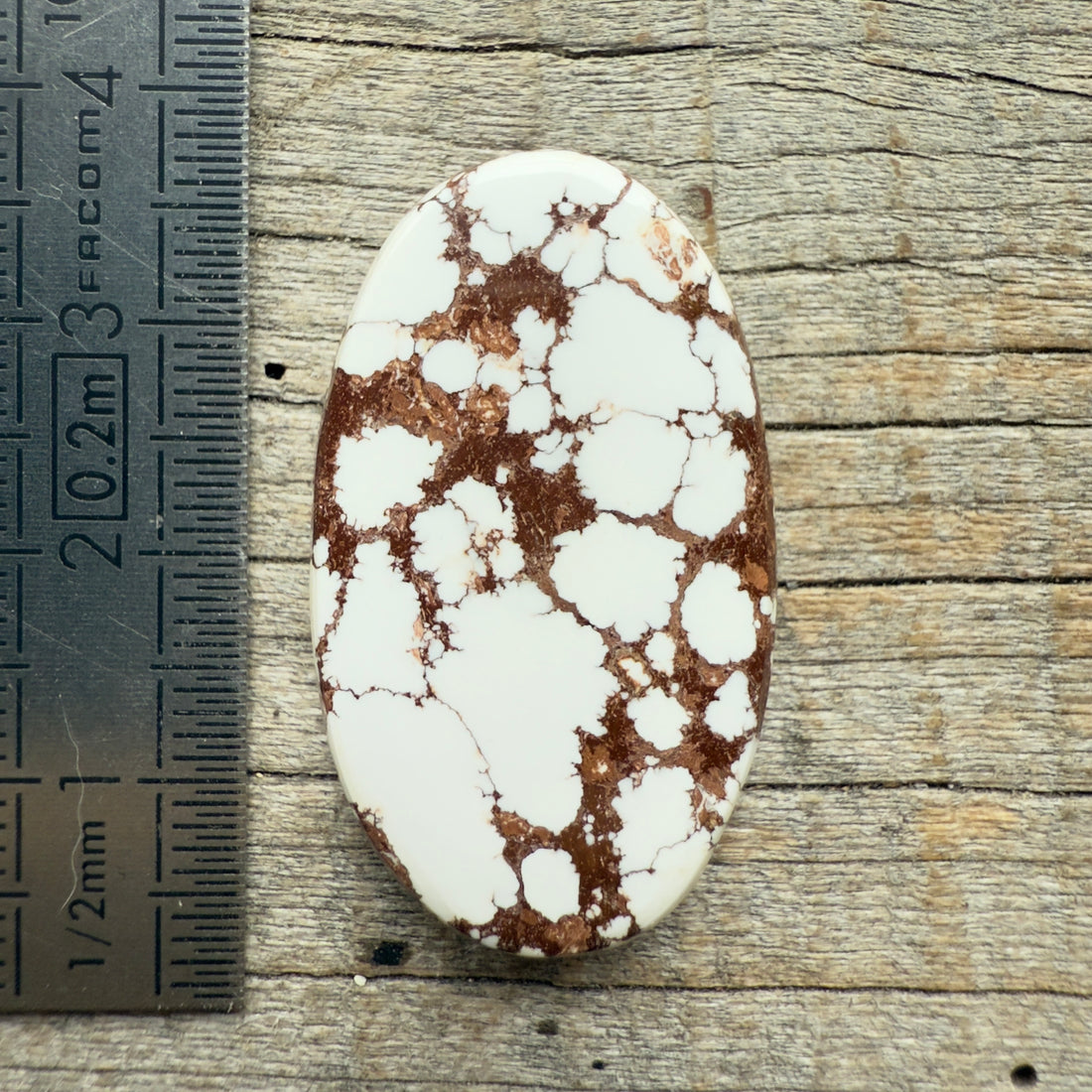 Cabochon Magnésite Wild Horse