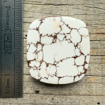 Cabochon Magnésite Wild Horse