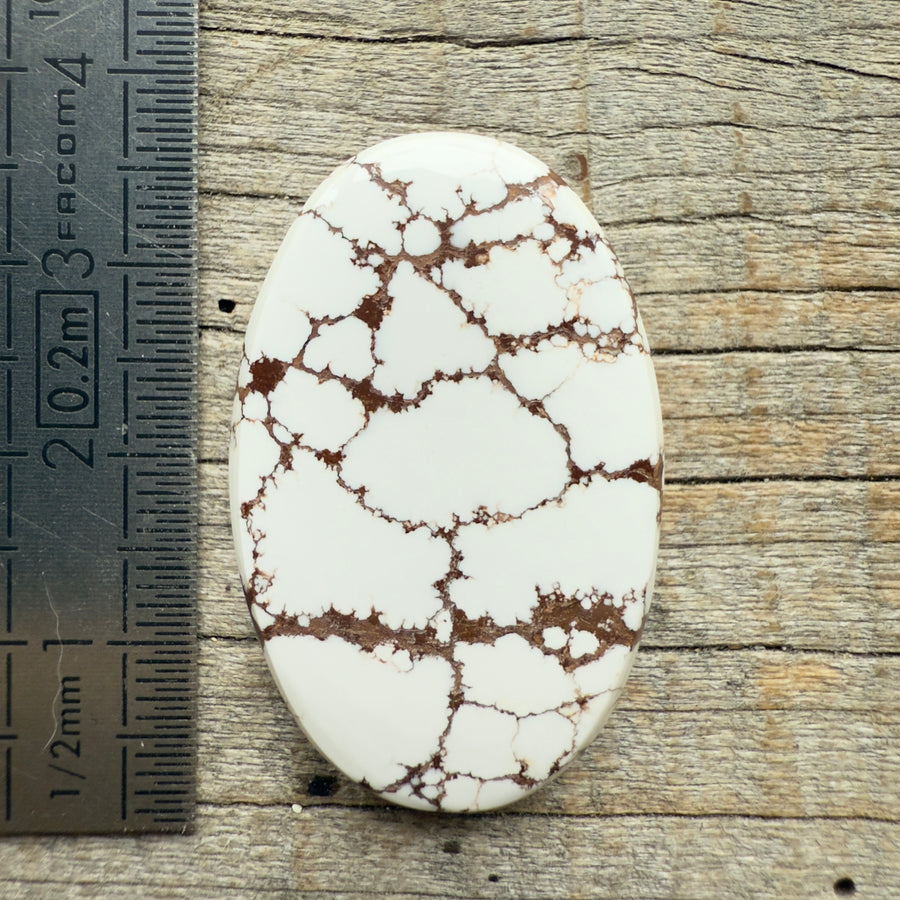 Cabochon Magnésite Wild Horse