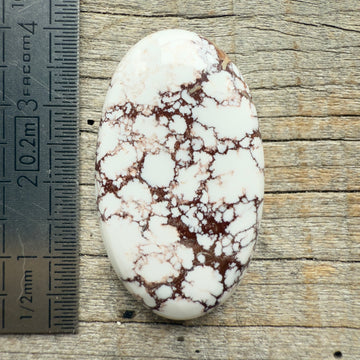 Cabochon Magnésite Wild Horse