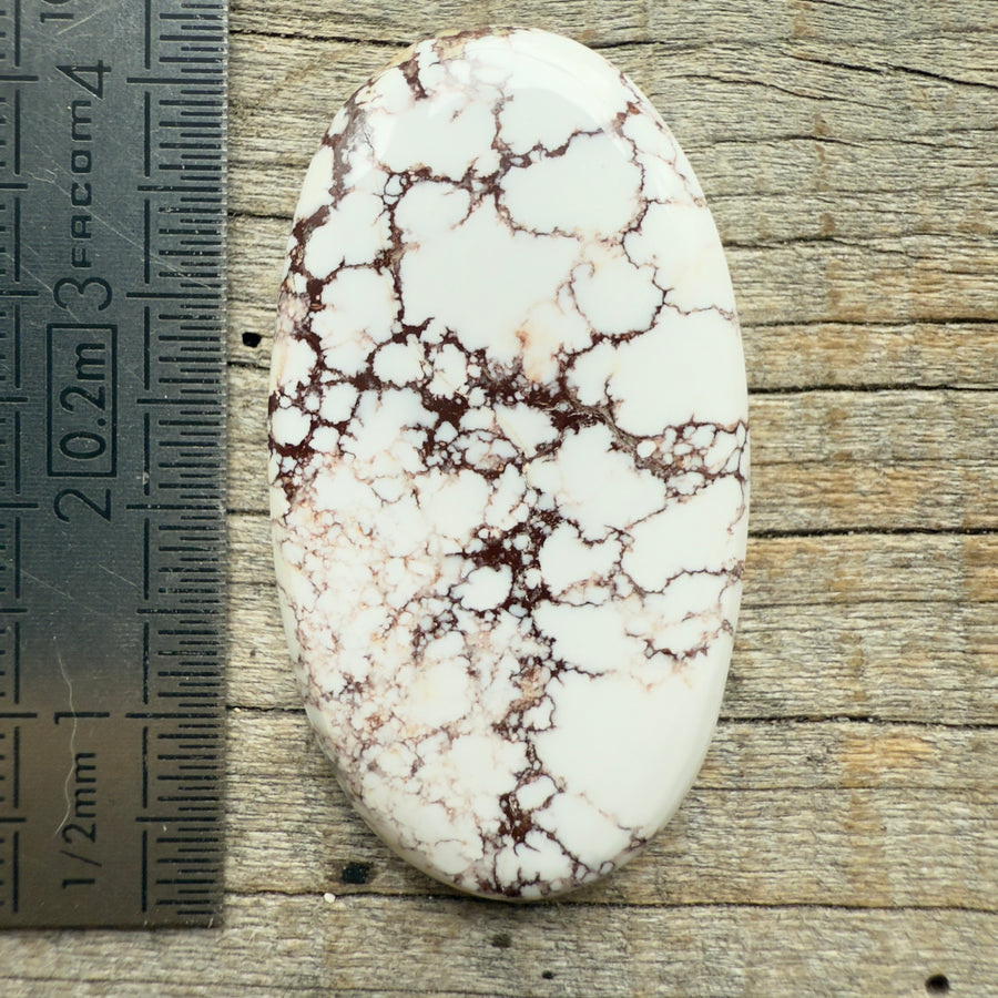 Cabochon Magnésite Wild Horse