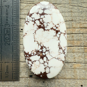 Cabochon Magnésite Wild Horse