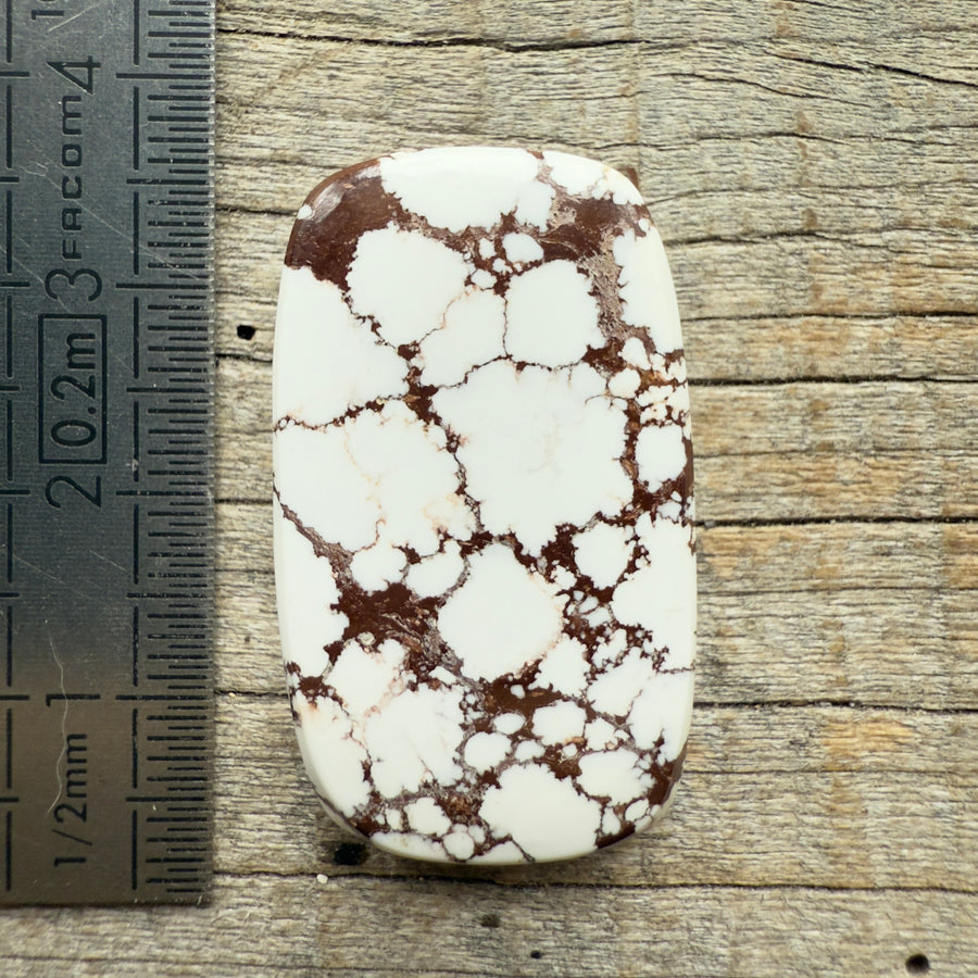 Cabochon Magnésite Wild Horse