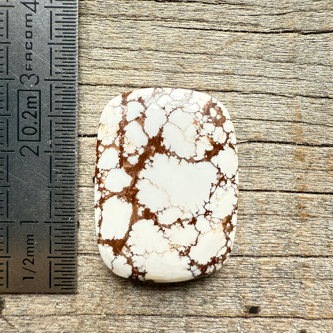 Cabochon Magnésite Wild Horse