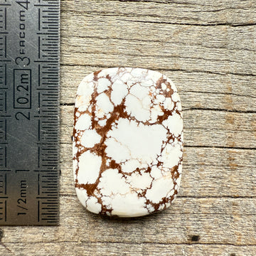 Cabochon Magnésite Wild Horse