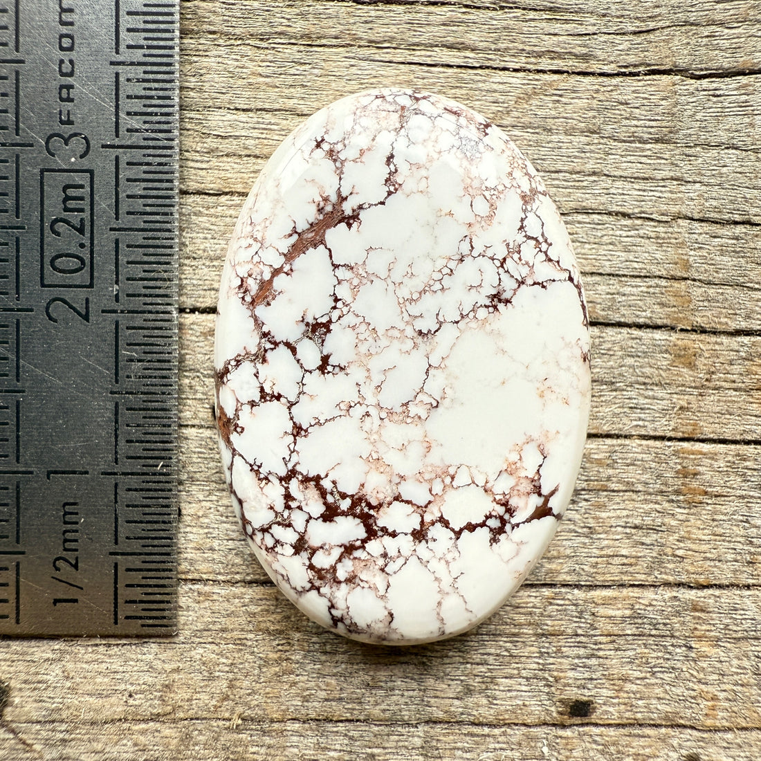 Cabochon Magnésite Wild Horse