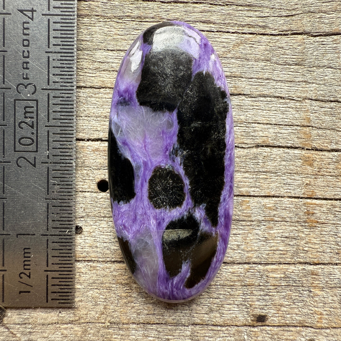 Cabochon Charoïte Aegirine