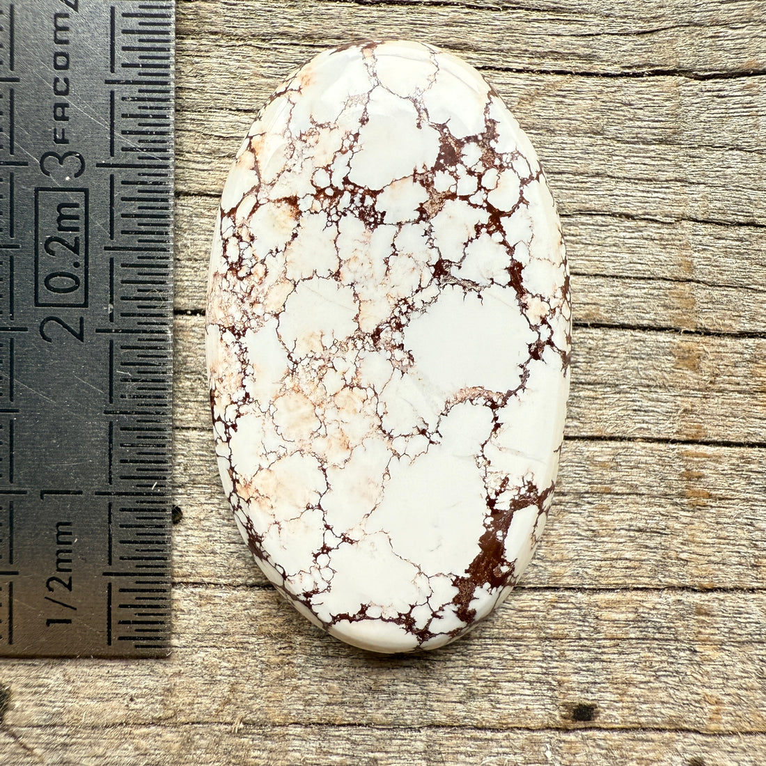 Cabochon Magnésite Wild Horse