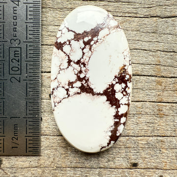 Cabochon Magnésite Wild Horse