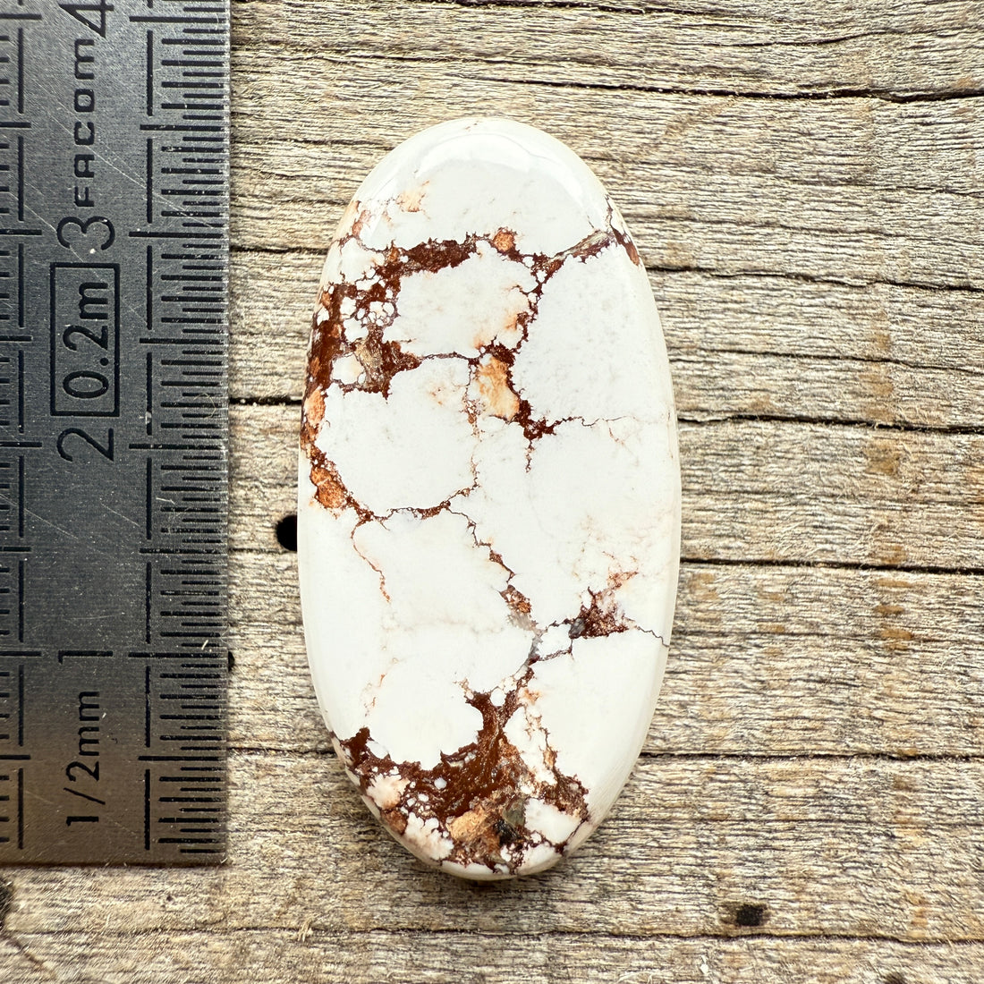 Cabochon Magnésite Wild Horse