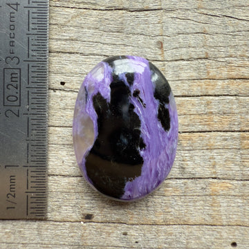 Cabochon Charoïte Aegirine