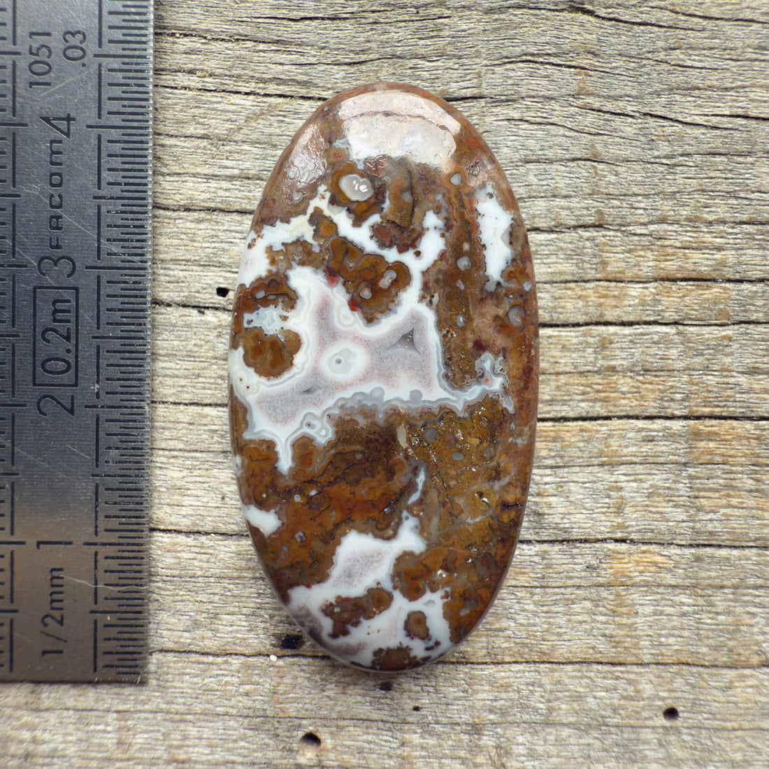 Cabochon Agate Berbère