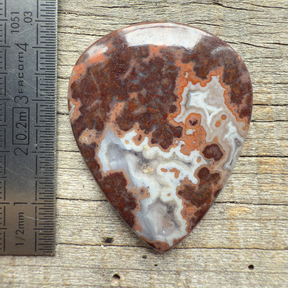 Cabochon Agate Berbère