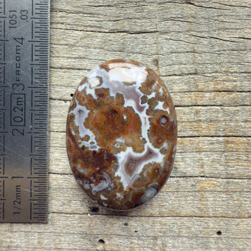 Cabochon Agate Berbère