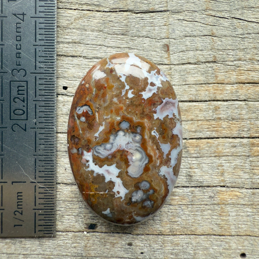 Cabochon Agate Berbère