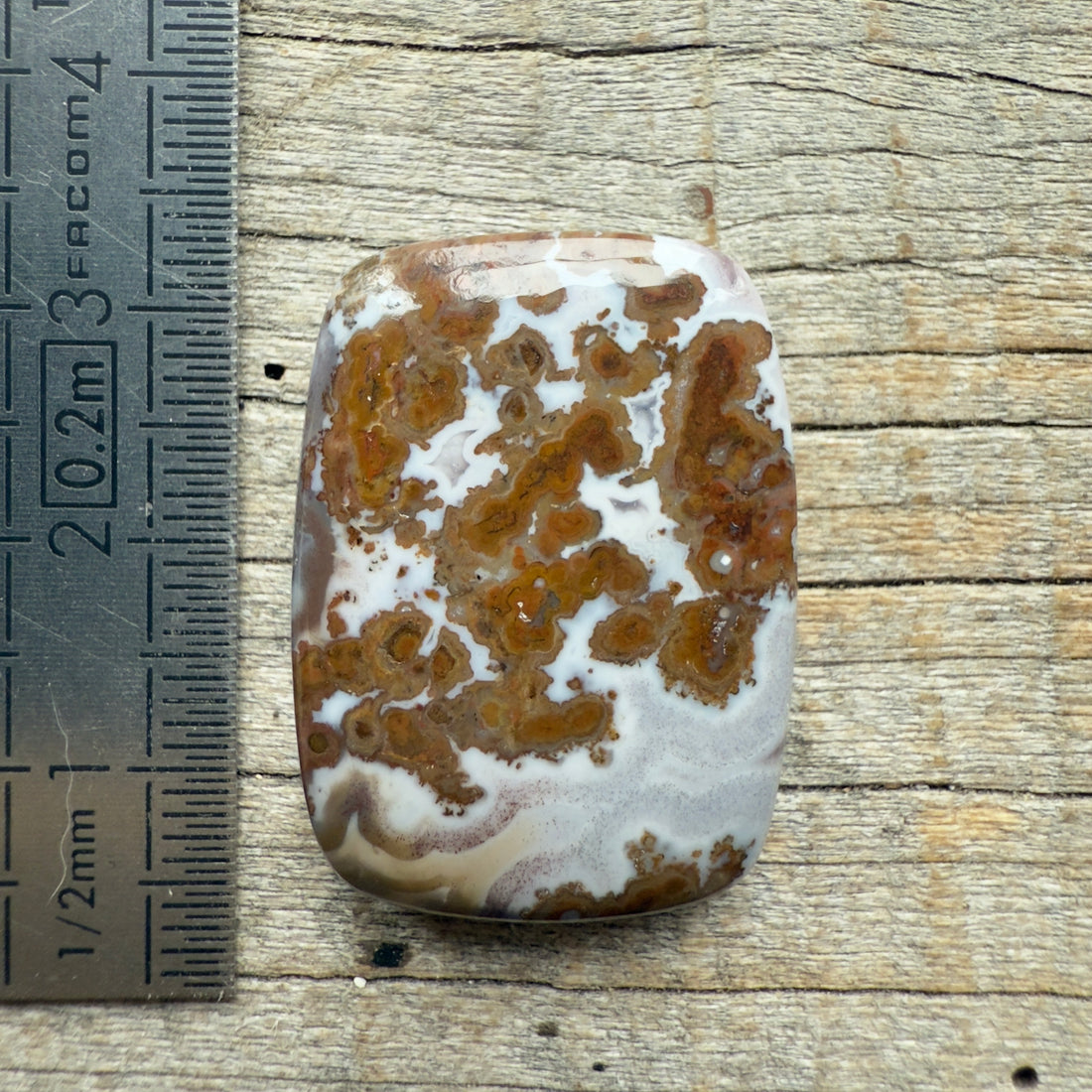 Cabochon Agate Berbère