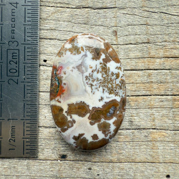 Cabochon Agate Berbère