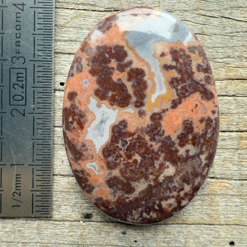 Cabochon Agate Berbère