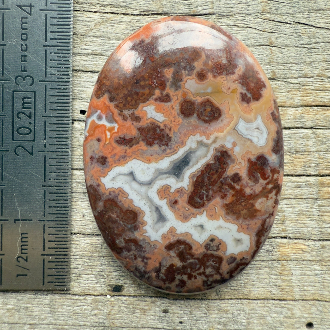 Cabochon Agate Berbère