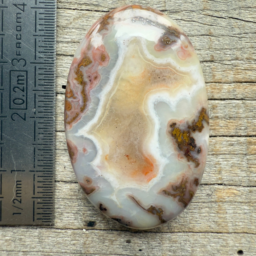 Cabochon Agate Berbère