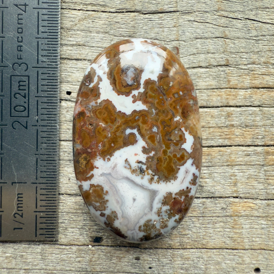 Cabochon Agate Berbère