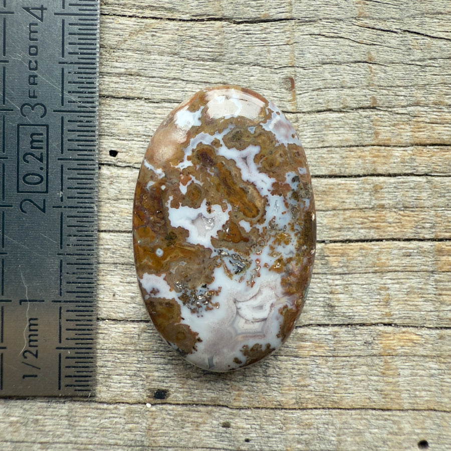 Cabochon Agate Berbère