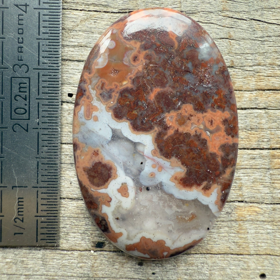 Cabochon Agate Berbère