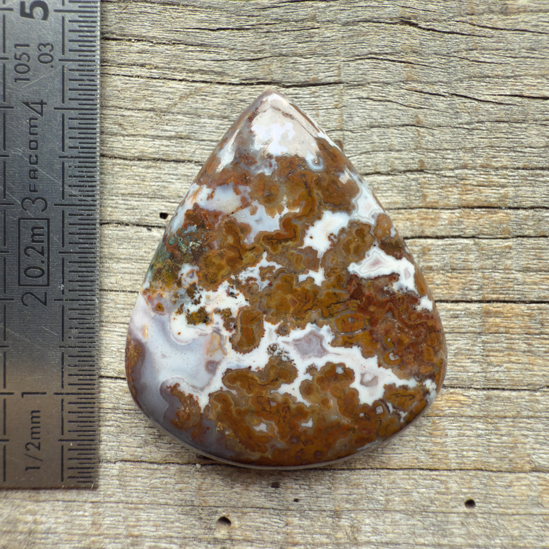 Cabochon Agate Berbère