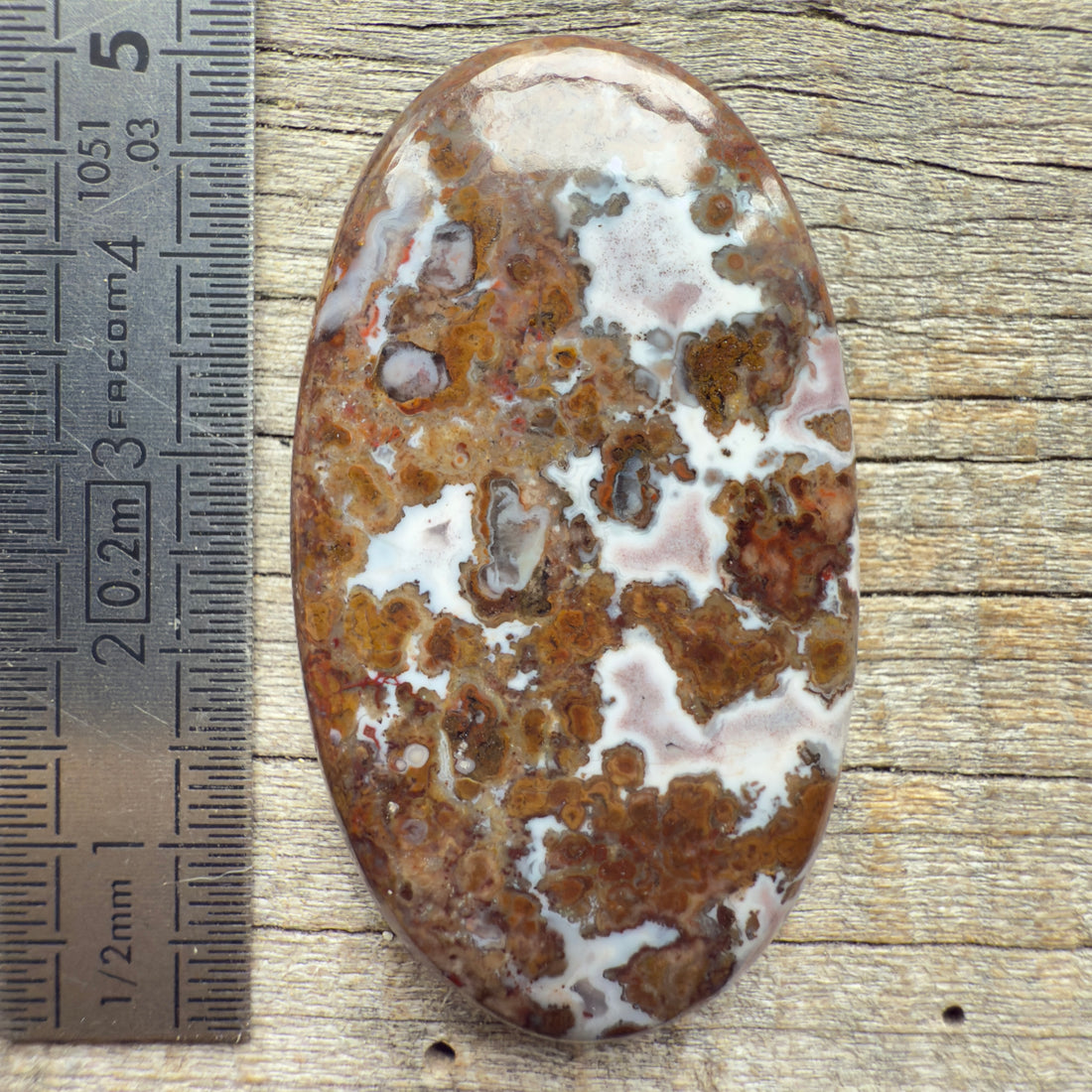 Cabochon Agate Berbère