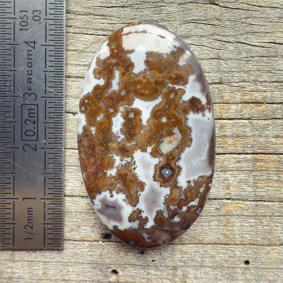 Cabochon Agate Berbère