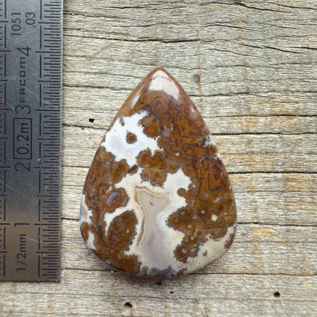 Cabochon Agate Berbère