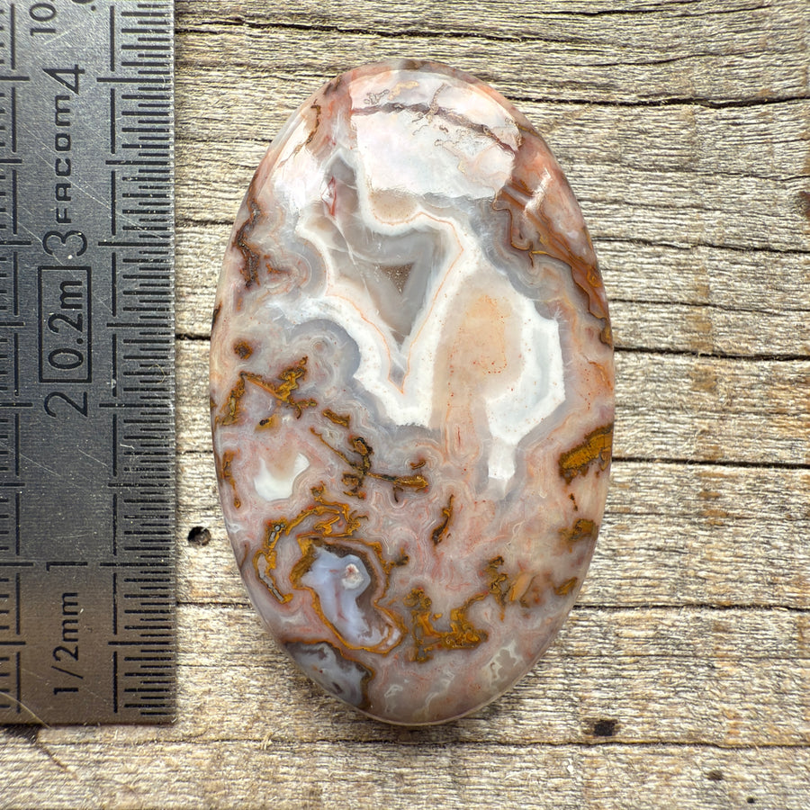 Cabochon Agate Berbère