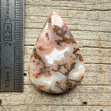 Cabochon Agate Berbère