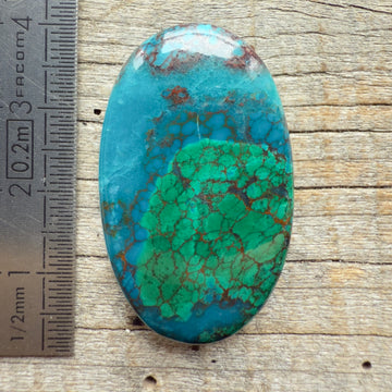 Cabochon Chrysocolle