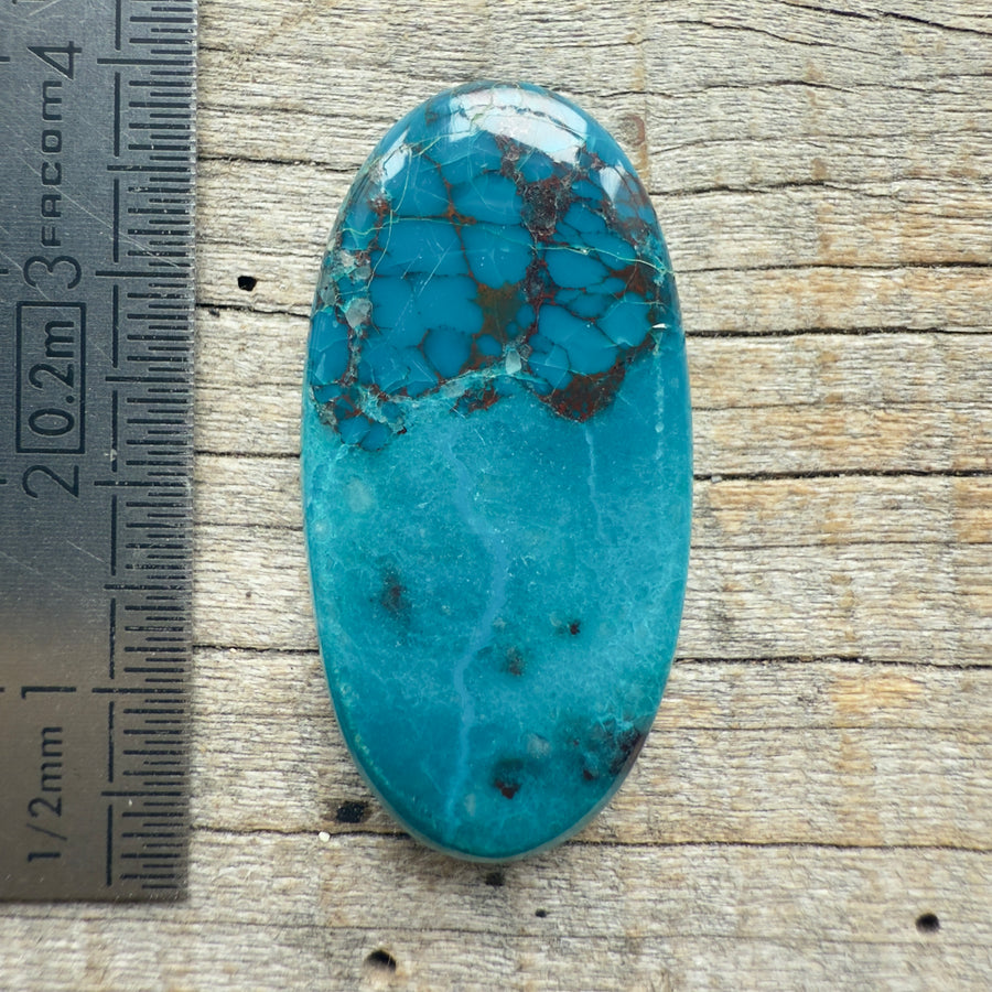 Cabochon Chrysocolle