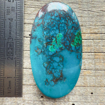 Cabochon Chrysocolle