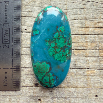 Cabochon Chrysocolle