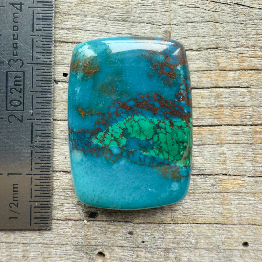 Cabochon Chrysocolle