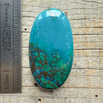 Cabochon Chrysocolle