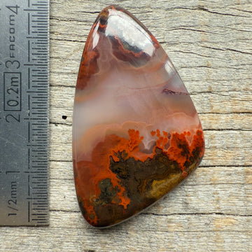 Cabochon Agate Seam