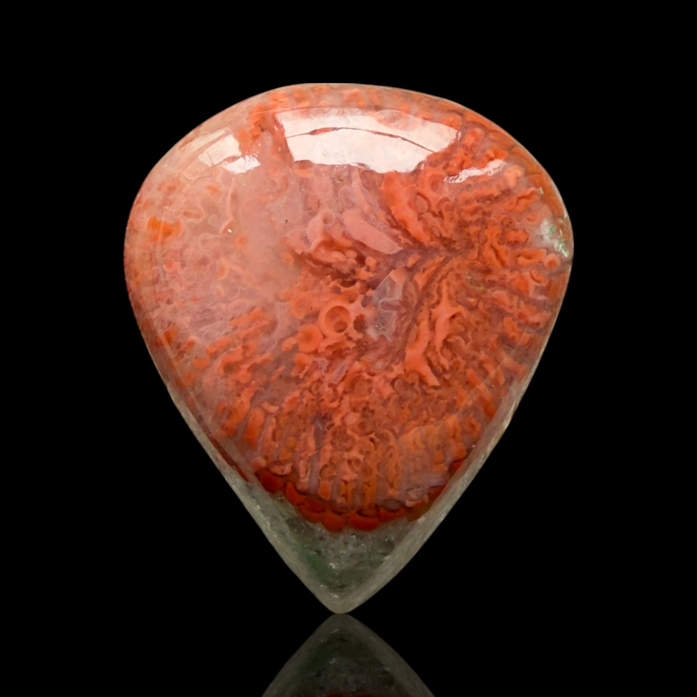 Cabochon Corail Agatisé Red Horn