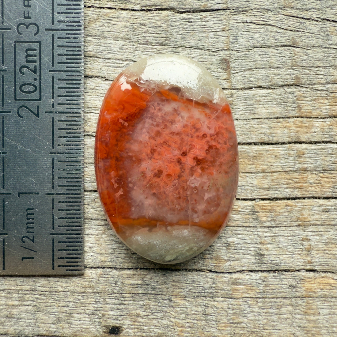 Cabochon Corail Agatisé Red Horn