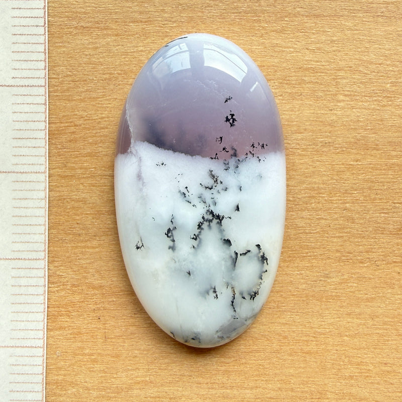 Cabochon Agate Dendritique