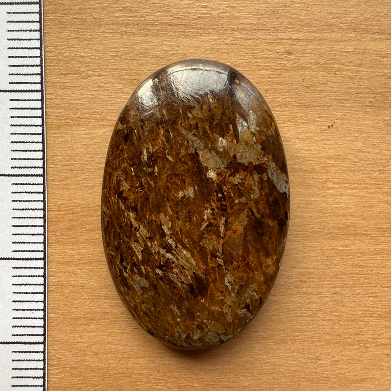 Cabochon Bronzite