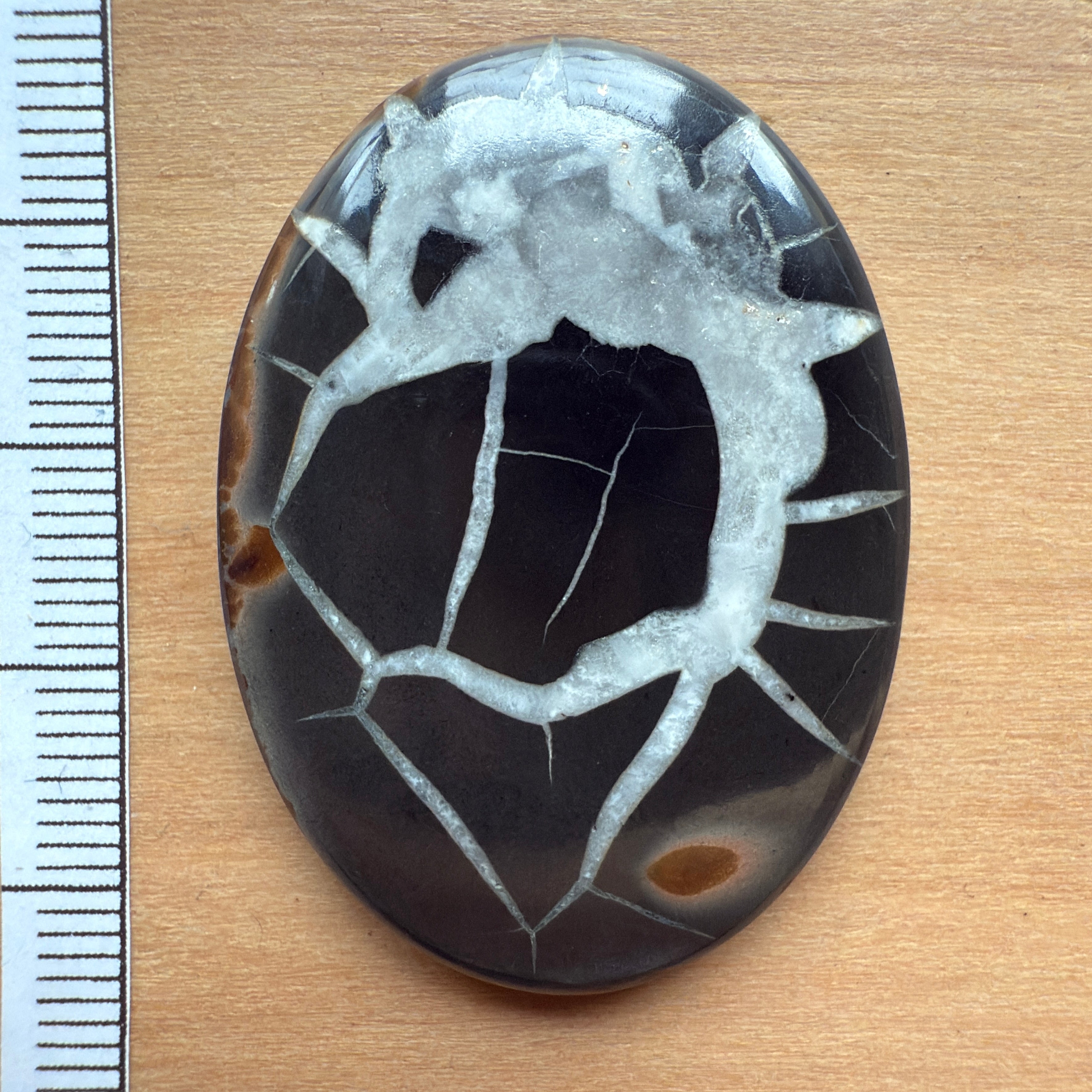 Cabochon Septaria Noire