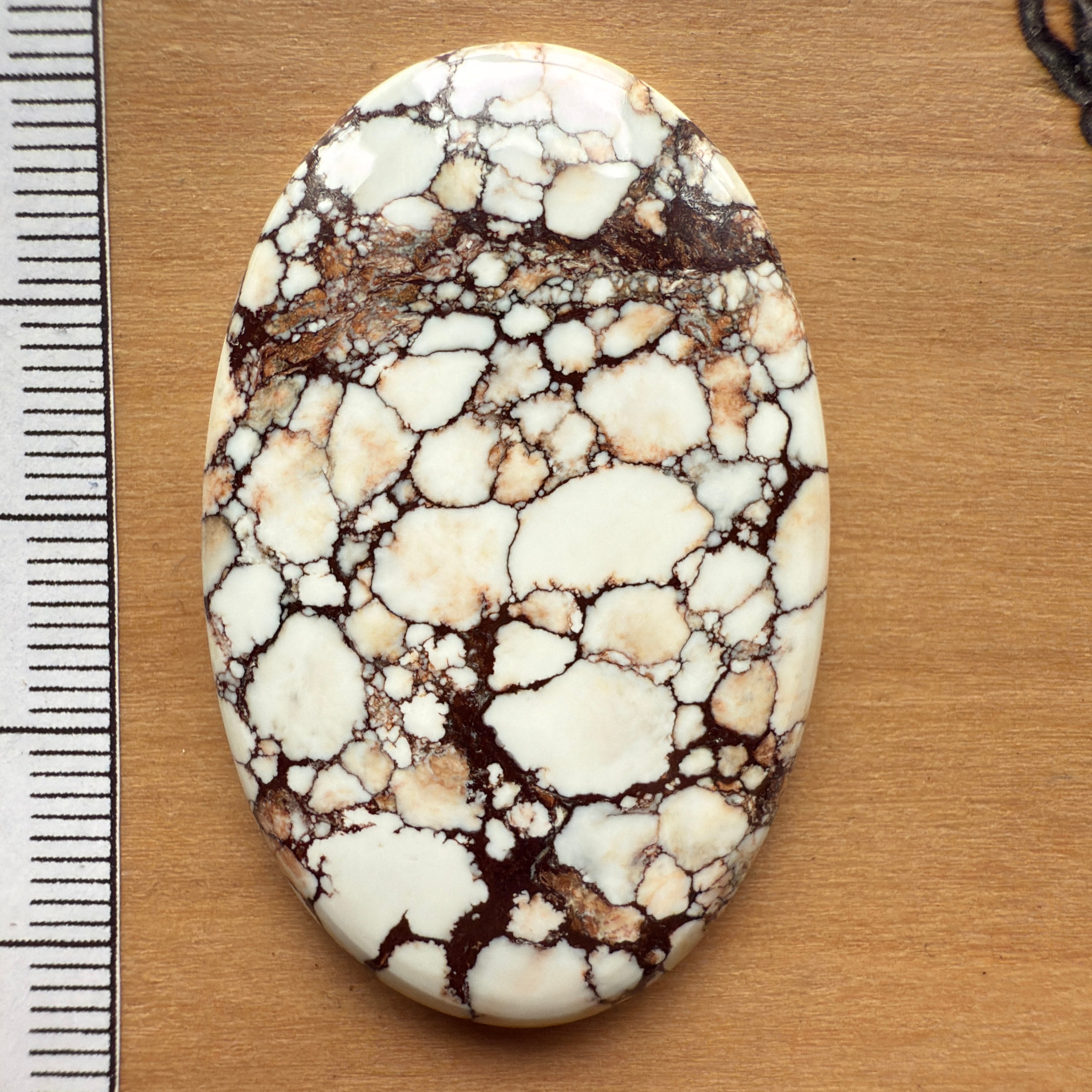 Cabochon Magnesite Wild Horse